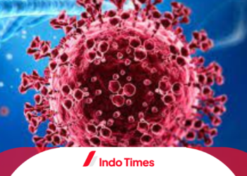 75 Persen Penderita Terjangkit Virus Nipah Meninggal, Ada Potensi Masuk Indonesia