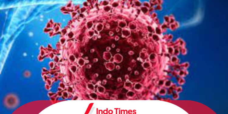 75 Persen Penderita Terjangkit Virus Nipah Meninggal, Ada Potensi Masuk Indonesia 1 75 Persen Penderita Terjangkit Virus Nipah Meninggal, Ada Potensi Masuk Indonesia