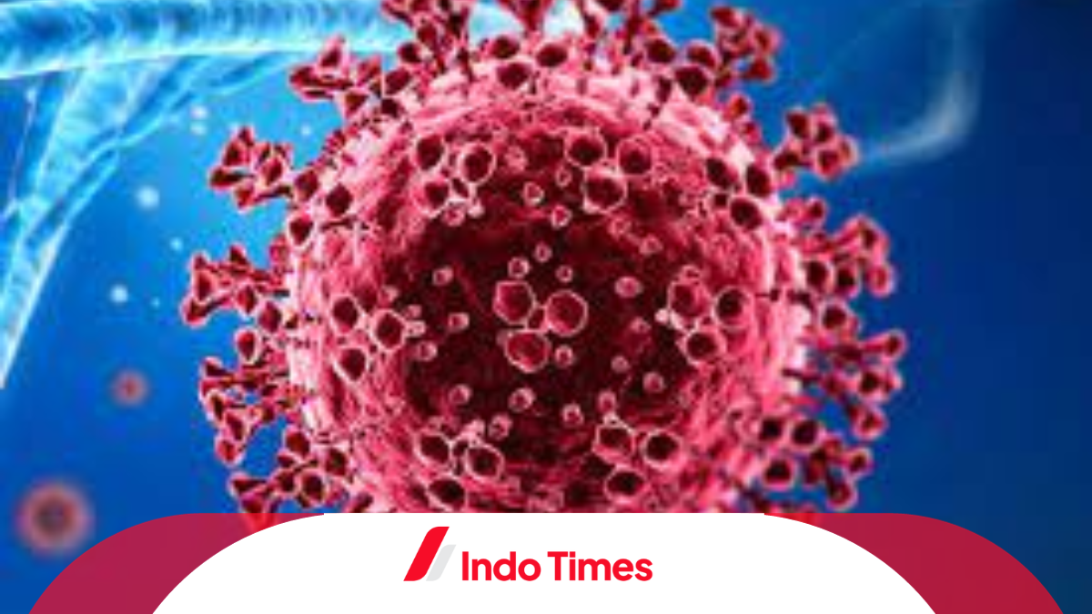 75 persen pasien yang terjangkit virus Nipah meninggal, ada potensi masuk ke Indonesia
