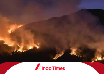 WO Penyulut Flare Kebakaran Gunung Bromo Laporkan Pihak Pengelola Bromo