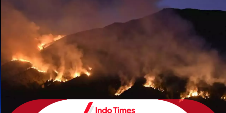 WO Penyulut Flare Kebakaran Gunung Bromo Laporkan Pihak Pengelola Bromo