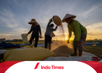 Akibat Krisis Pangan Dunia, Indonesia Sulit Impor Beras untuk Penuhi Kebutuhan Dalam Negeri