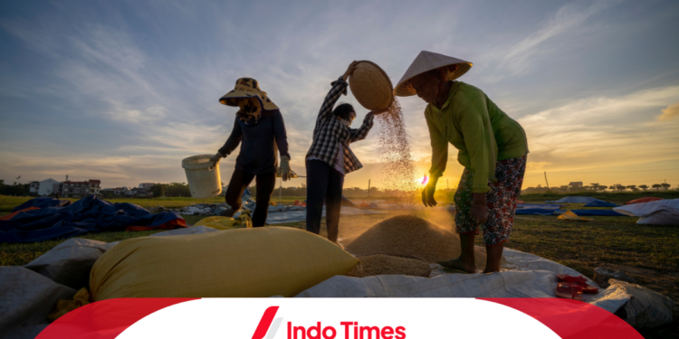 Akibat Krisis Pangan Dunia, Indonesia Sulit Impor Beras untuk Penuhi Kebutuhan Dalam Negeri 1 Akibat Krisis Pangan Dunia, Indonesia Sulit Impor Beras untuk Penuhi Kebutuhan Dalam Negeri