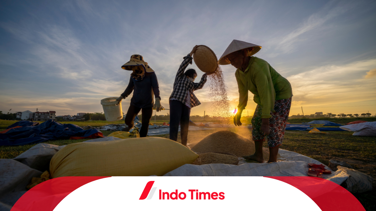 Akibat Krisis Pangan Dunia, Indonesia kesulitan mengimpor beras untuk memenuhi kebutuhan dalam negeri