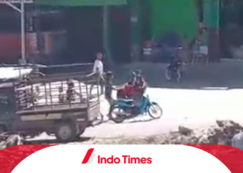 5 Fakta Dibalik Kasus Kawin Tangkap di NTT yang Hebohkan Jagad Maya