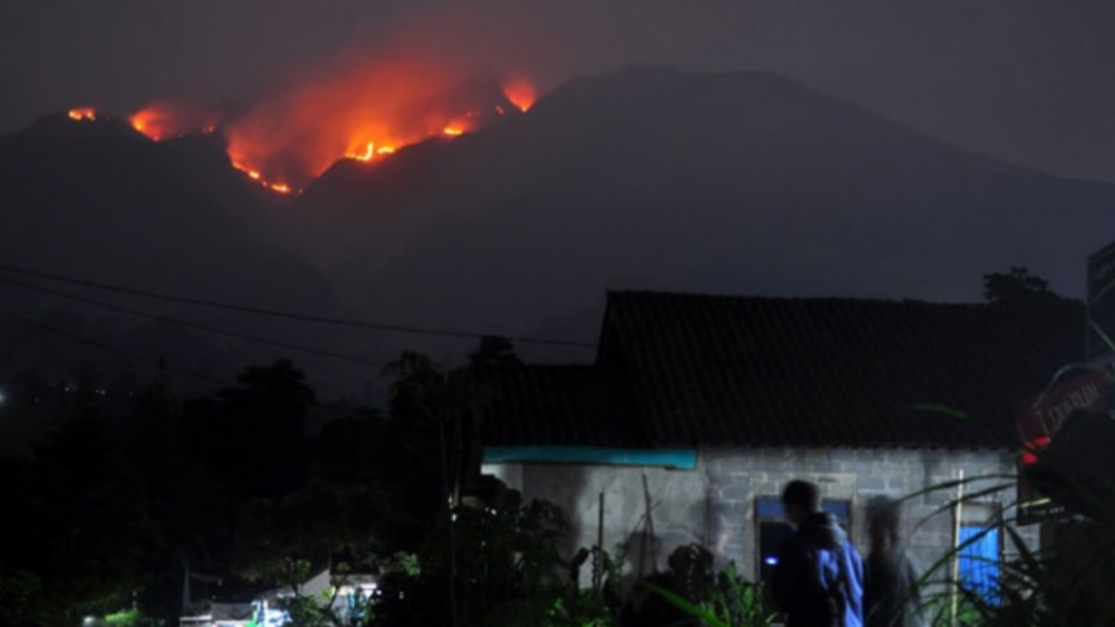 Kebakaran Hutan Gunung Lawu Akibatkan Jalur Pendakian Ditutup