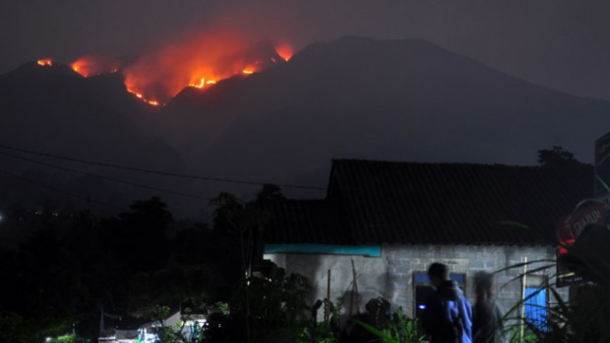 Kebakaran Hutan Gunung Lawu Semakin Meluas, Petugas Dan Masyarakat Kian ...