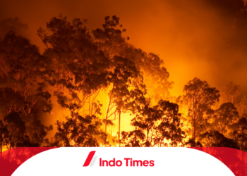Kebakaran Hutan Gunung Lawu Semakin Meluas, Petugas dan Masyarakat Kian Siaga