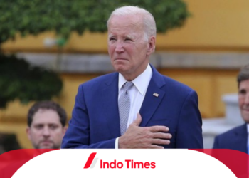 Pemakzulan Presiden Joe Biden, Serangan Politik?