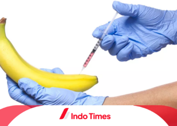 2 Korban Suntik Mr P dengan Minyak Kemiri Di Pare-Pare Bertambah. 2 Orang Sudah Dirawat Intensif