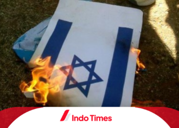 Bandara Dagestan Ditutup Akibat Penyerangan Massa Pro-Palestina