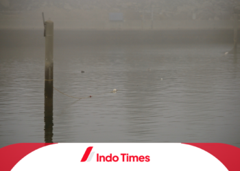 Fenomena Kabut Tebal di Pantai Gunungkidul Resahkan Masyarakat. BMKG Minta Warga Hati-hati