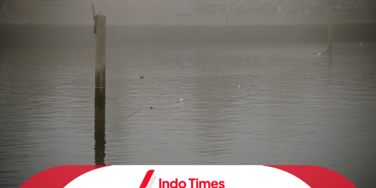 Fenomena Kabut Tebal di Pantai Gunungkidul Resahkan Masyarakat. BMKG Minta Warga Hati-hati