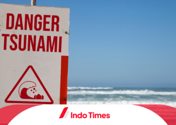Peringatan Tsunami Gempa Jepang Dicabut Setelah Guncangan M 6,6, Warga Tetap Diminta Waspada