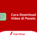 Cara Download Video di Pexels: Dapatkan Konten Visual Berkualitas dengan Mudah 3 Cara Download Video di Pexels: Dapatkan Konten Visual Berkualitas dengan Mudah