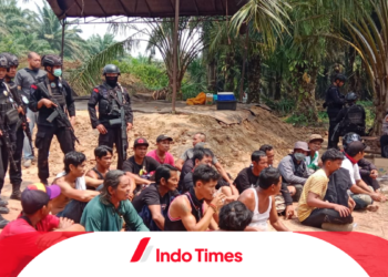 1 Orang Tewas! Ada Perintah Tembak Kepala pada Demo di Kebun Sawit Seruyan, Benarkah?