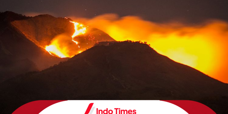 Kebakaran Gunung Merbabu Makin Meluas, Jalur Pendakian Ditutup 1 Kebakaran Gunung Merbabu Makin Meluas, Jalur Pendakian Ditutup