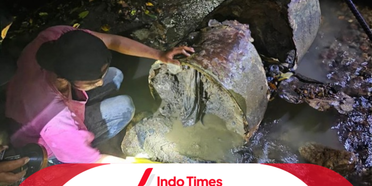 Masih Misteri! Ditemukan Kerangka Manusia Dicor dalam Drum di Sungai Aceh 1 Masih Misteri! Ditemukan Kerangka Manusia Dicor dalam Drum di Sungai Aceh