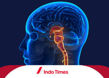 Bocah 7 Tahun Didiagnosis Mati Batang Otak Setelah Operasi Amandel, Keluarga Menuduh Adanya Malpraktek