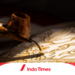 10 Merek Batik Terkenal: Memelihara Kebudayaan Melalui Elegansi Kain