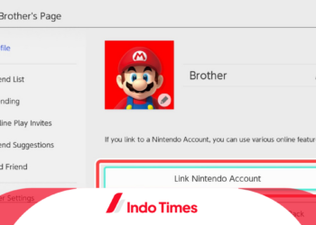 Akun Nintendo Switch