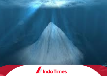 Sah! Gunung Bawah Laut Jogo Jagad di Pacitan Resmi Diakui Dunia