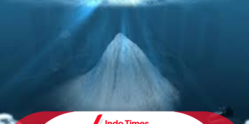 Sah! Gunung Bawah Laut Jogo Jagad di Pacitan Resmi Diakui Dunia