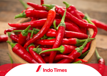 Harga Cabai Melonjak Tiga Kali Lipat Akibat Gagal Panen. Jokowi: Kenaikan Masih Dalam Batas Wajar