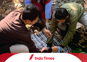Warga Geger Temukan Jasad Bayi Dimakan Biawak di Sungai Nipa-nipa