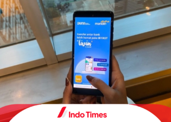 Livin Mandiri Tidak Bisa Transfer