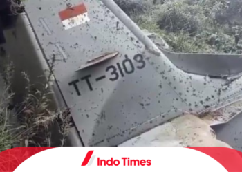Detik-detik Pesawat Latih TNI AU Jatuh di Pasuruan Terekam Video Amatir