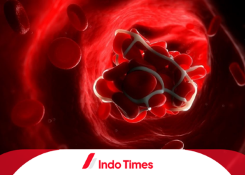 Proses Pembekuan Darah