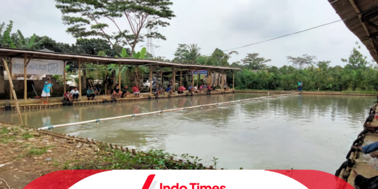 Umpan Ikan Bawal yang Dilarang