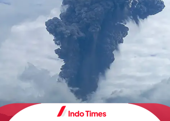 Gunung Marapi Erupsi, Pihak BKSDA Sumbar Lakukan Evakuasi 70 Pendaki 8 Gunung Marapi Erupsi, Pihak BKSDA Sumbar Lakukan Evakuasi 70 Pendaki