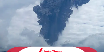 Gunung Marapi Erupsi, Pihak BKSDA Sumbar Lakukan Evakuasi 70 Pendaki