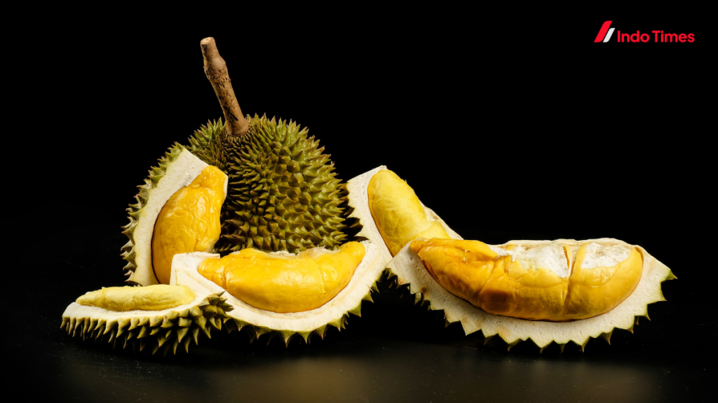 memilih durian yang manis dan tebal 2