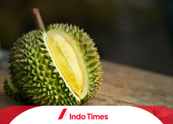 7 Tips Memilih Durian yang Manis dan Tebal