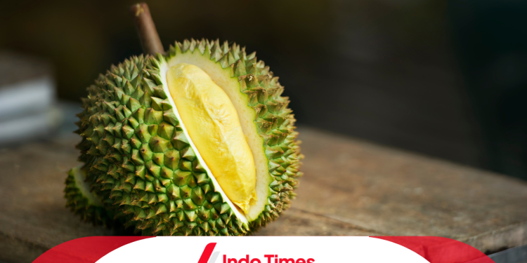 7 Tips Memilih Durian yang Manis dan Tebal 1 7 Tips Memilih Durian yang Manis dan Tebal