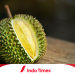 7 Tips Memilih Durian yang Manis dan Tebal 6 7 Tips Memilih Durian yang Manis dan Tebal
