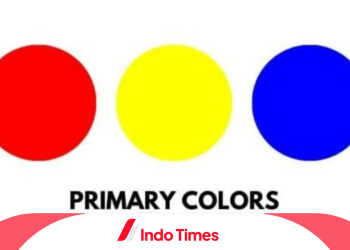 Warna Primer: Definisi, Jenis dan Makna Psikologi